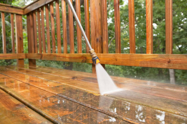 Best Gutter Cleaning  in Jan Phyl Village, FL